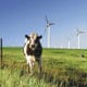 Idaho: Biomass and wind projects move forward