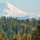 Washington utilities report they're exceeding their I-937 energy efficiency targets — again