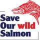 Save Our Wild Salmon press release: Science panel’s review provides pathway to expanded spill test