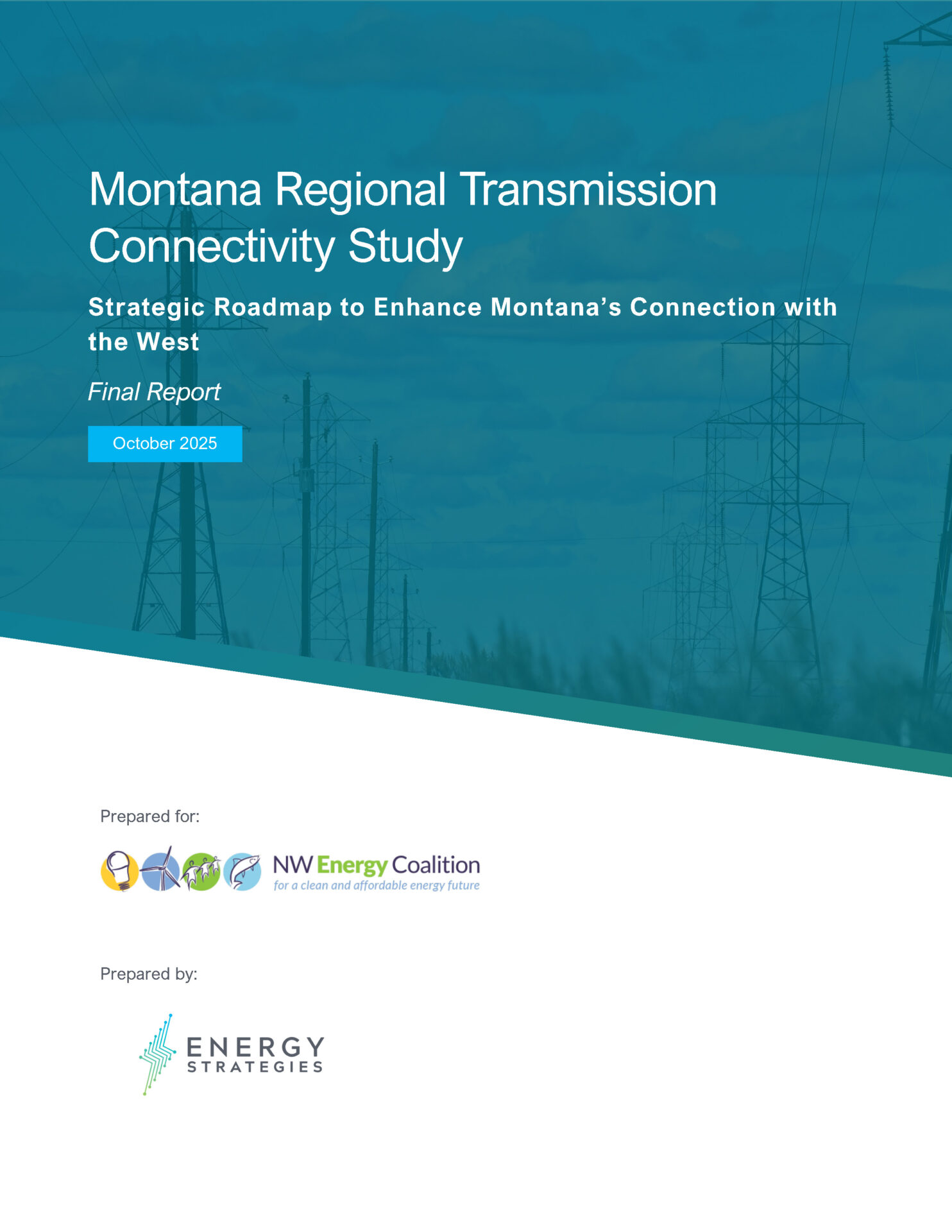 Cover of Montana Regional Connectivity Study